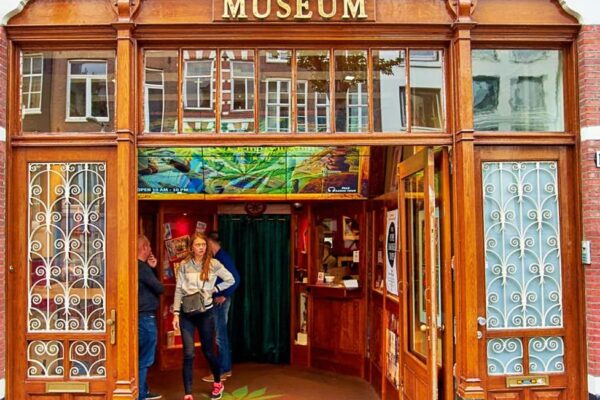 Hemp Museum Hemp Museum