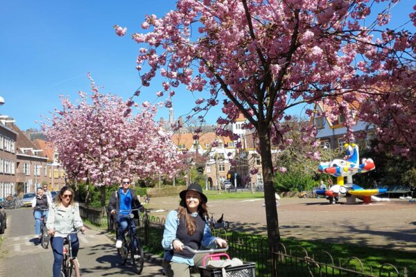 16. Blossom 16. Blossom